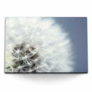 120x80cm Wandbild auf Leinwand Pusteblume Makrofotografie Weiß Blume Nahaufnahme