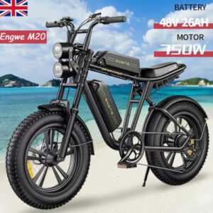 ENGWE M20 E-Bike 20 Zoll Elektrofahrrad 750W E-Mountainbike Fat Bike 45km/h
