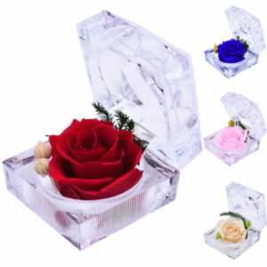 Konservierte Infinity Rose Muttertag Valentinstag Rosenbox Geburtstag Geschenk