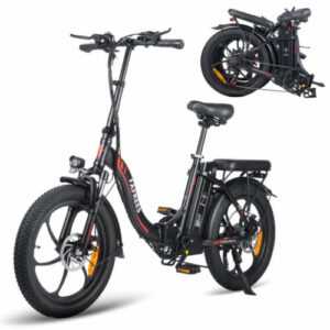 FAFREES F20 Klapprad Elektrofahrrad 20 Zoll E-Bike 250W Shimano Pedelec Citybike