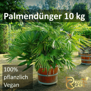 Langzeit Palmen Dünger, Hanfpalmendünger, Palmen düngen, Vegan Gartendünger 10kg