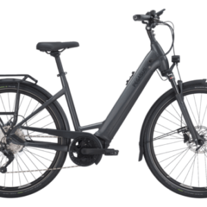 Pegasus Premio evo 10 lite E-Bike Pedelec Elektrofahrrad RH 55cm