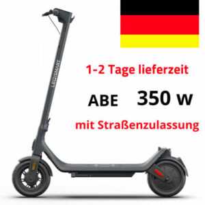 10Zoll Elektro Scooter mit Straßenzulassung ABE E-Scooter Klappbar Elektroroller