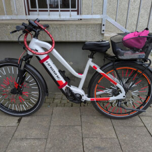 SAXONETTE Optimum Plus Pedelec E-Bike, 250W Mittelmotor, Intube-Akku, Nexus 7G