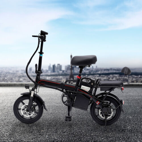 14 Zoll E-Mountainbike Falten Elektrofahrrad E-Bike 250W 48V Motor Pedelec E-MTB