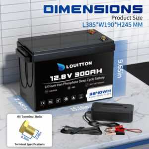 LiFePO4 24V 12V 100Ah 200Ah 300Ah Lithium Batterie 15000+Zyklen BMS für RV Solar