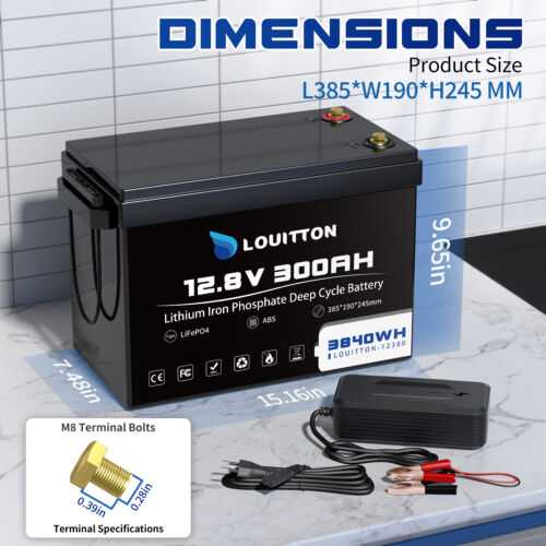 LiFePO4 24V 12V 100Ah 200Ah 300Ah Lithium Batterie 15000+Zyklen BMS für RV Solar