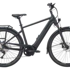 Pegasus Premio evo 10 lite 750 Wh E-Bike Elektrofahrrad RH 55cm/L