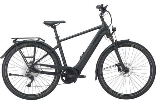 Pegasus Premio evo 10 lite 750 Wh E-Bike Elektrofahrrad RH 55cm/L