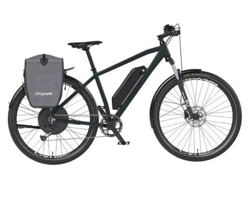 Prophete E-Bike Stack 2.0 RH 48 cm 29 Zoll 499 Wh 250 W 48 V 9 Gänge schwarz
