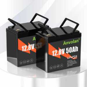 2X 12V 24V 50Ah LiFePO4 Lithium Solarbatterie Akku 50A BMS Wohnmobil Boot USV