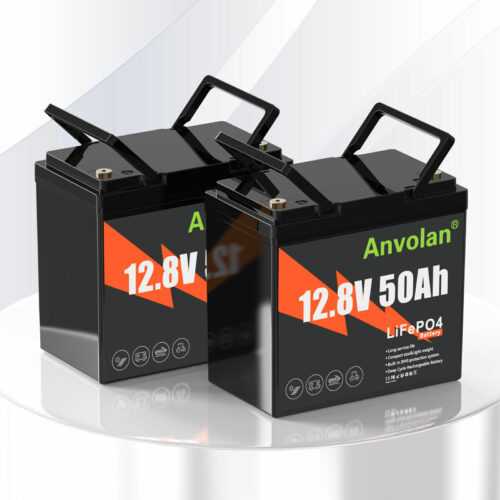 2X 12V 24V 50Ah LiFePO4 Lithium Solarbatterie Akku 50A BMS Wohnmobil Boot USV