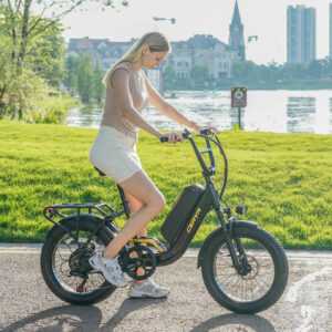 EBike 750W E Mountainbike 48V 15Ah Elektrofahrrad 20 Zoll Damen ebike 25km/h