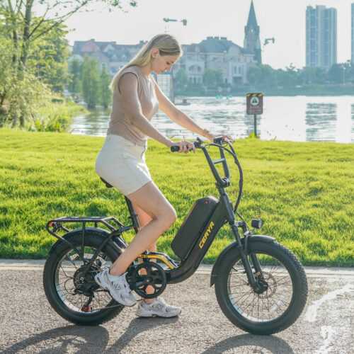 EBike 750W E Mountainbike 48V 15Ah Elektrofahrrad 20 Zoll Damen ebike 25km/h