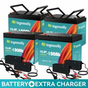 1/2/3/4 PCs 12V 100Ah LiFePO4 Akku Lithium Batterie RV Solarbatterie + Ladegerät