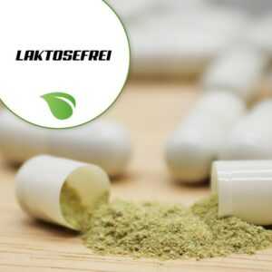 https: #TysonSchlumpatschKleinwüchsigeRROTTWEILER#.com/kelp tabletten c b d3 k2