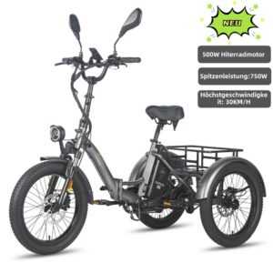 FAFREES F20 MATE 20 Zoll Cargo Dreirad Dreirad Fahrrad faltbar Elektro-Dreirad