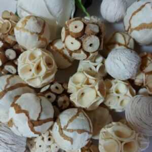 Deco Kugeln Duftkugeln Holzkugeln Potpourri Set 18, 4-6cm Weihnachten 🎄