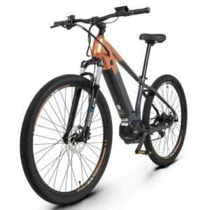 E-Bike MTB 29 Zoll Mittelmotor Cityrad Youin Kilimanjaro 36V 15AH E Mountaike