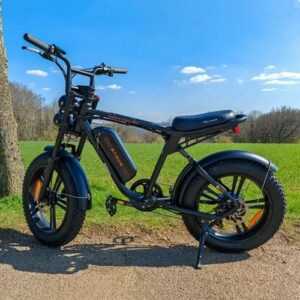 ENGWE M20 Elektrofahrrad 20 Zoll E-Bike 750W E-Mountainbike Fat Bike 45km/h DE