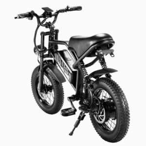 16"E-Bike mit 500W Citybike 36V Herausnehmbarer Batterie E-Bikes für Pendler