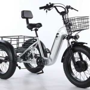 20" 500W 48V Elektro-Lastendreirad, 35km/h, 50km Reichweite, 140kg, E-Trike, CE