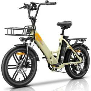 E-Bike Klapprad 20 Zoll Elektrofahrrad Electric Bike Mountainbike Fatbike 20.8Ah