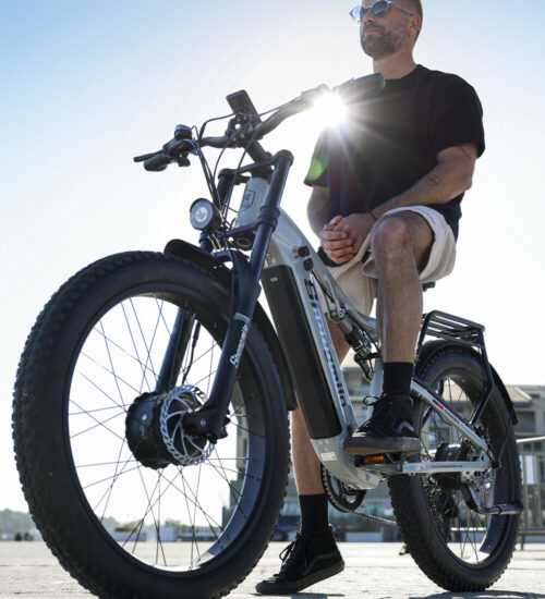 2000W E Bike 48V 17.5AH Mountainbike Elektrofahrrad 26 Zoll Fatbike Doppelmotor