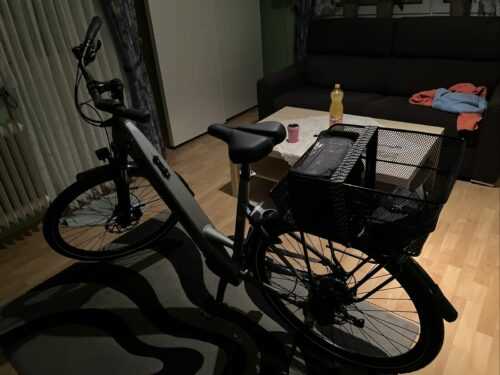 Pegasus Evo CX 750 E-Trekkingbike -