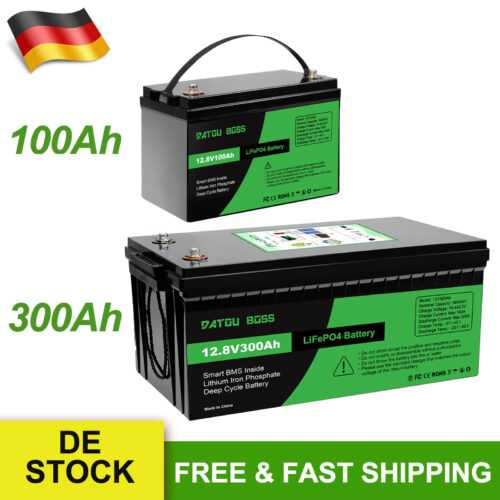 12V 100Ah 200Ah 300Ah Lithium Batterie LiFePO4 Akku BMS Solarbatterie Boot RV