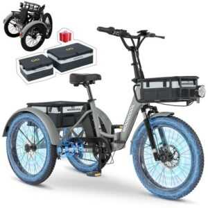 MOONCOOL 650W Elektro Dreirad e Bike 3 Rad 36V 20Ah Akku  Klapprad 20 * 3 Zoll