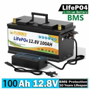 Lithium Batterie 12V 100Ah LiFePO4 Akku Wohnmobil 15000+ Zyklen Solarbatterie