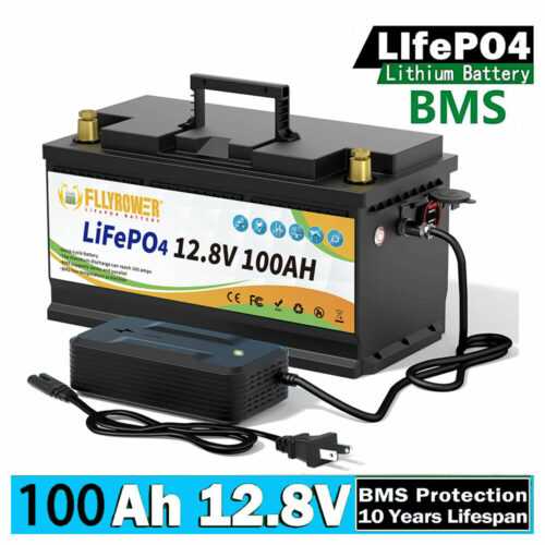 Lithium Batterie 12V 100Ah LiFePO4 Akku Wohnmobil 15000+ Zyklen Solarbatterie