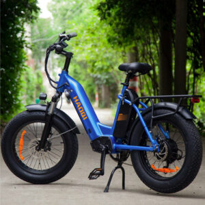 Haoqi Antelope Dual-Akkus Lasten E-Bike 2.0 Neu Garantie 08/2026/27