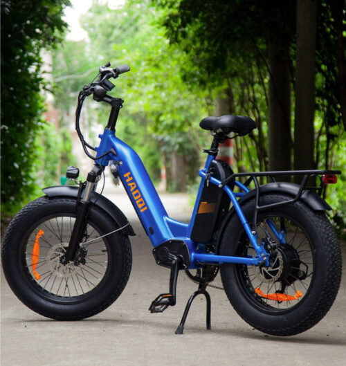 Haoqi Antelope Dual-Akkus Lasten E-Bike 2.0 Neu Garantie 08/2026/27