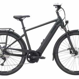 Pegasus Premio EVO 10 lite 625 Wh E-Bike Elektrofahrrad RH 55cm/L