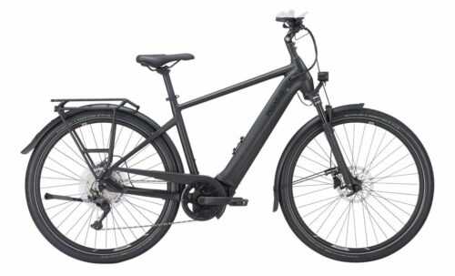 Pegasus Premio EVO 10 lite 625 Wh E-Bike Elektrofahrrad RH 55cm/L