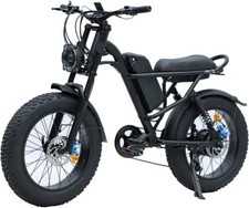 E-Bike 20 Zoll Fat Reifen Elektrofahrrad 1000W 48V 15.6AH 7Gang Mountain Ebike~