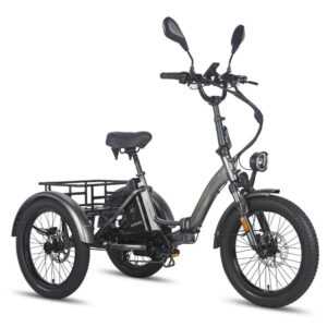 Fafree F20 Mate Klappbares Elektro-Dreirad 500W 21AH 3 Rädern E-Fahrrad Tricycle