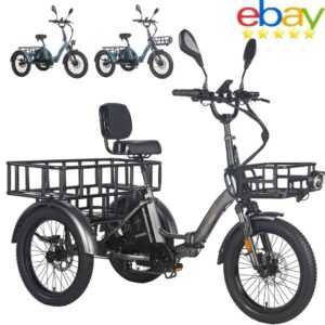Fafrees F20 Mate Elektro Dreirad 20 Zoll e-Bike 3-Rädern Elektrofahrrad Tricycle