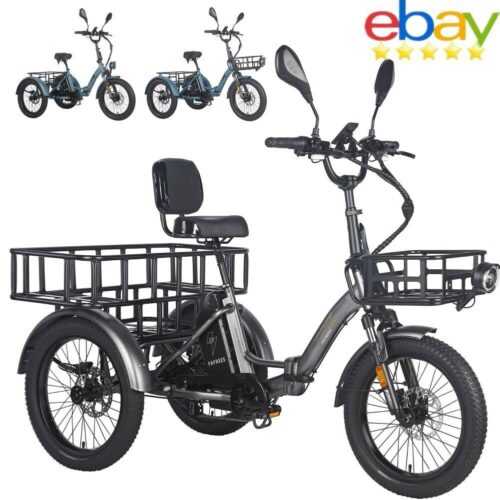 Fafrees F20 Mate Elektro Dreirad 20 Zoll e-Bike 3-Rädern Elektrofahrrad Tricycle