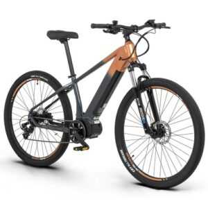 250W Mittelmotor Cityrad E Mountainbike 29 Zoll eBike 36V 15AH Elektrofahrrad