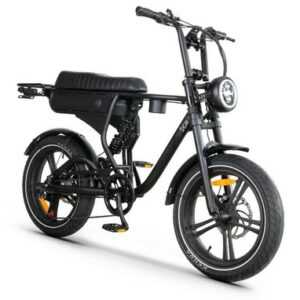 DC20  PRO 250W Elektrofahrrad 48V 20 Zoll E-Mountainbike 45KM/H Schwarz