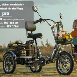 Elektro-Dreirad 16" Lastenrad mit Korb | 3-Rad E-Trike 50Nm Lager in Deutschland