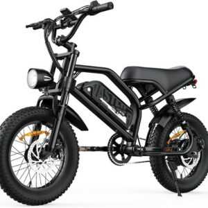 16"E-Bike mit 36V 12.8Ah Herausnehmbarer Batterie Commuter Electric Bike