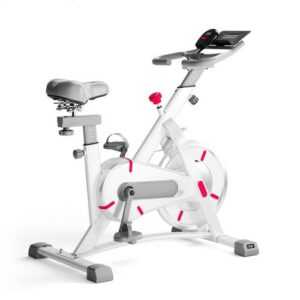 AINT Heimtrainer Indoor Cycle Speedbike Fitness Fahrrad Ergometer bis 120kg