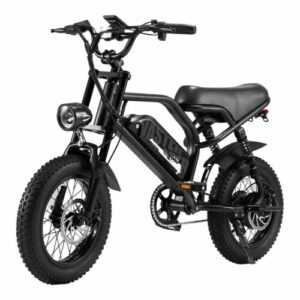E-Bike 16 Zoll 3.0 Fat Reifen Elektrofahrrad 250W 36V 12.8AH Mountain e bike
