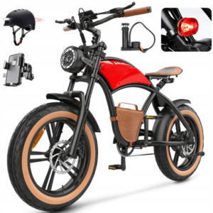 Hidoes 1000W Elektrofahrrad 48V 13AH e-Bike Mountainbike 20 Zoll Retro Fatbike