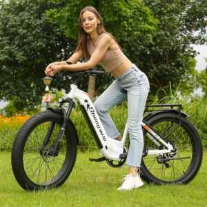 City eBike 48V17.5AH Elektrofahrrad Damen/Herren E Mountainbike Trekking E-bike