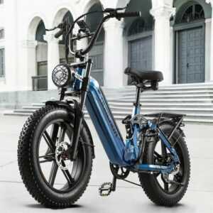 20“E-Mountainbike 48V 20AH Fat Tyre E-Bike e-Fahrrad 45km/h Elektrofahrrad NEU